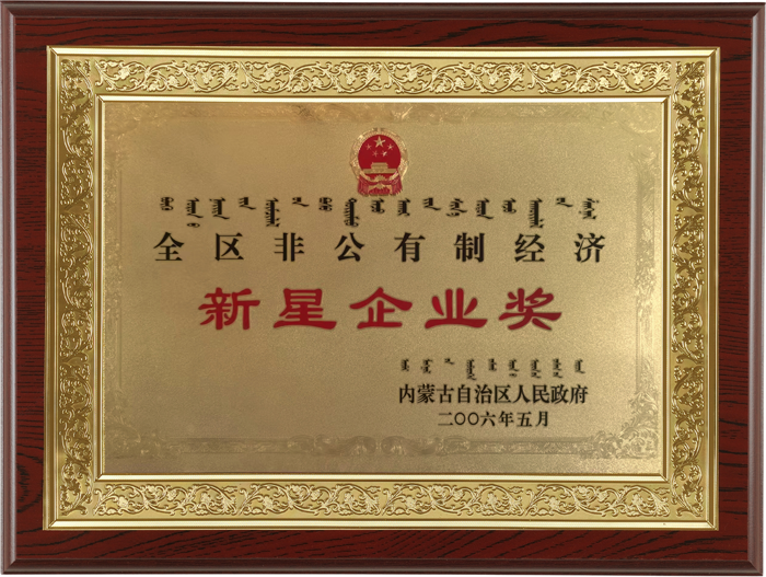 200605全区非公有制经济新星企业奖.png