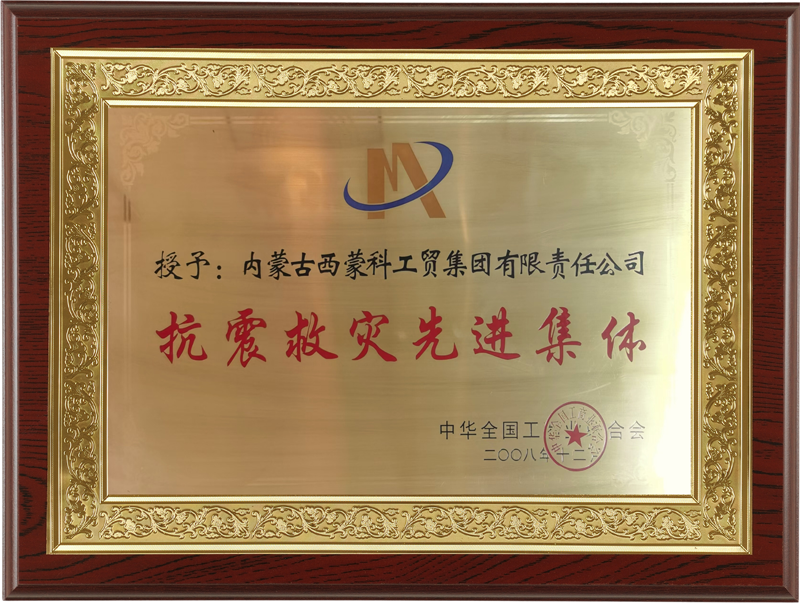 200812 抗震救灾先进集体.png