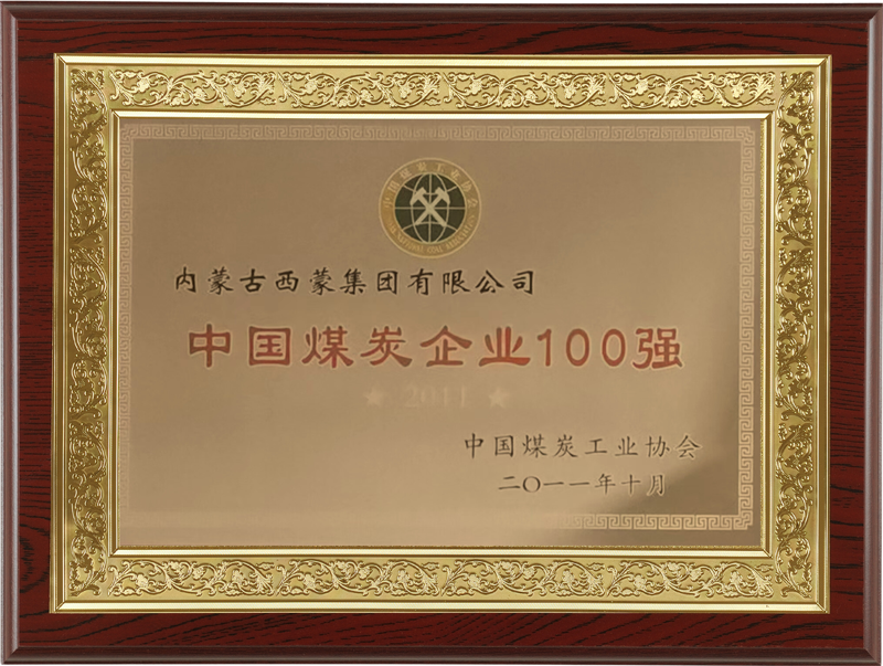 201110 中国煤炭企业100强.png
